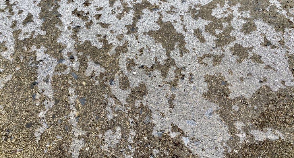 A thin layer of ice coats pavement topped with scatter pieces of salt