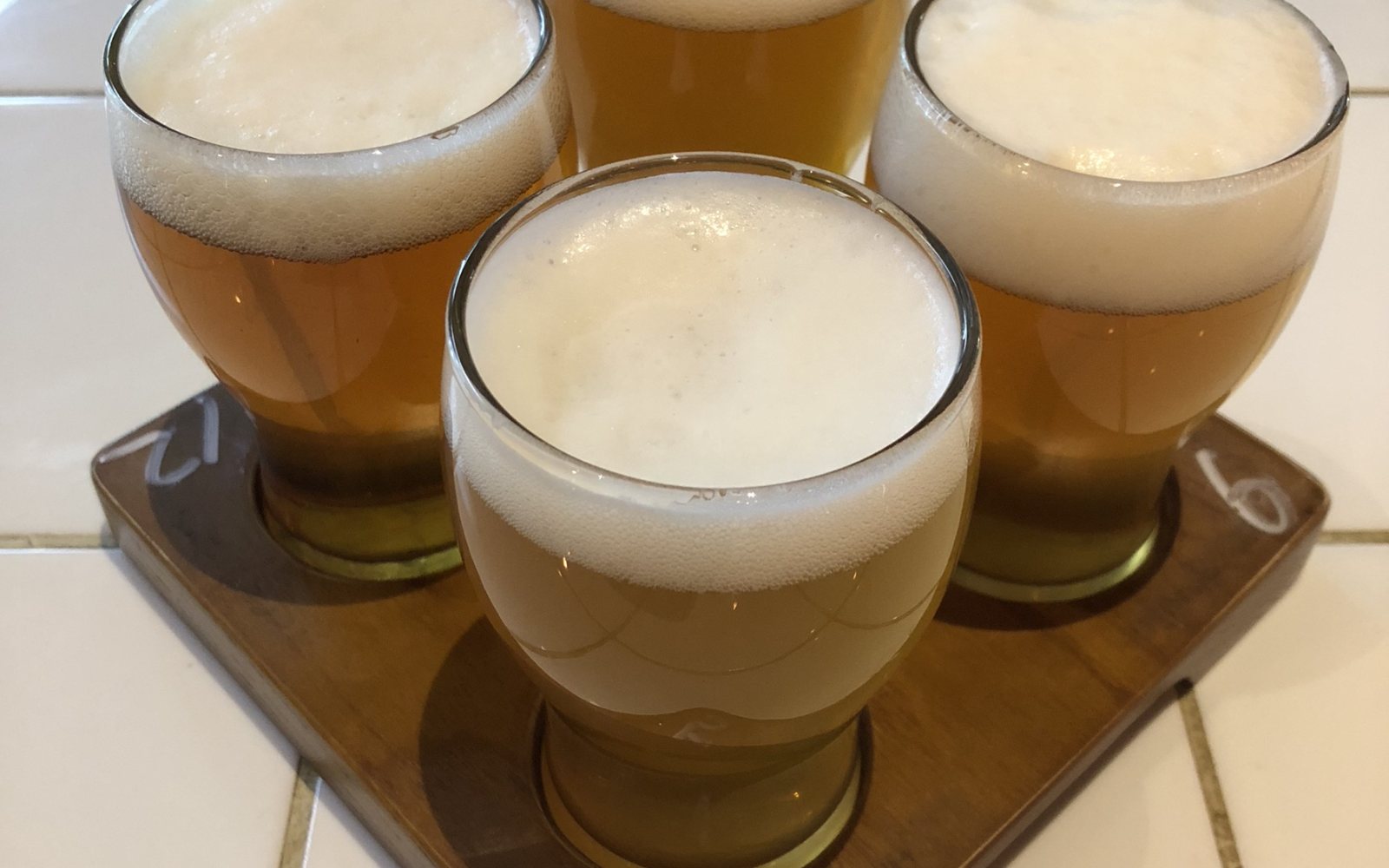 Glasses of craft beer at a tasting