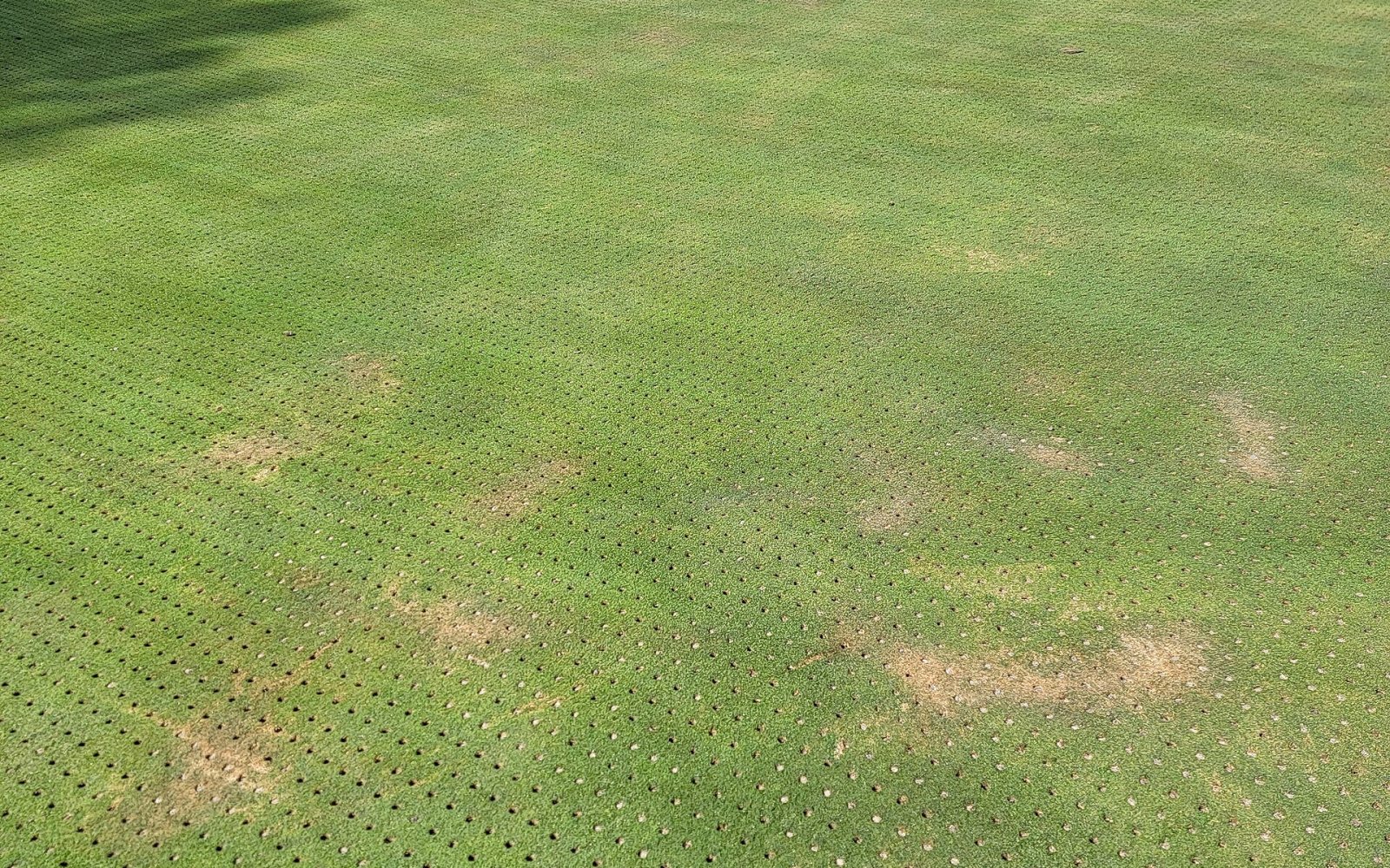 A golf green with a flagstick