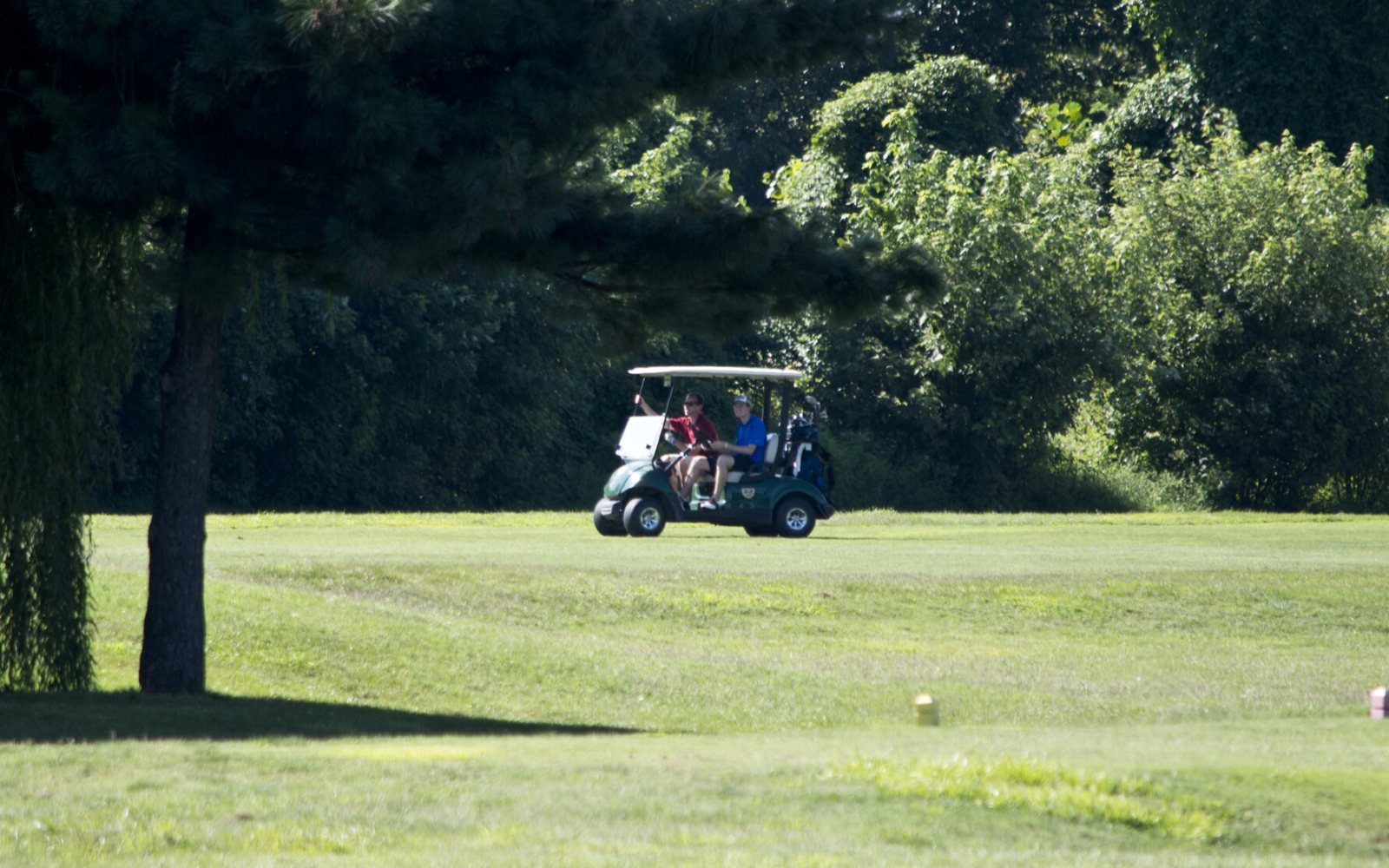 A golf cart on a fairway