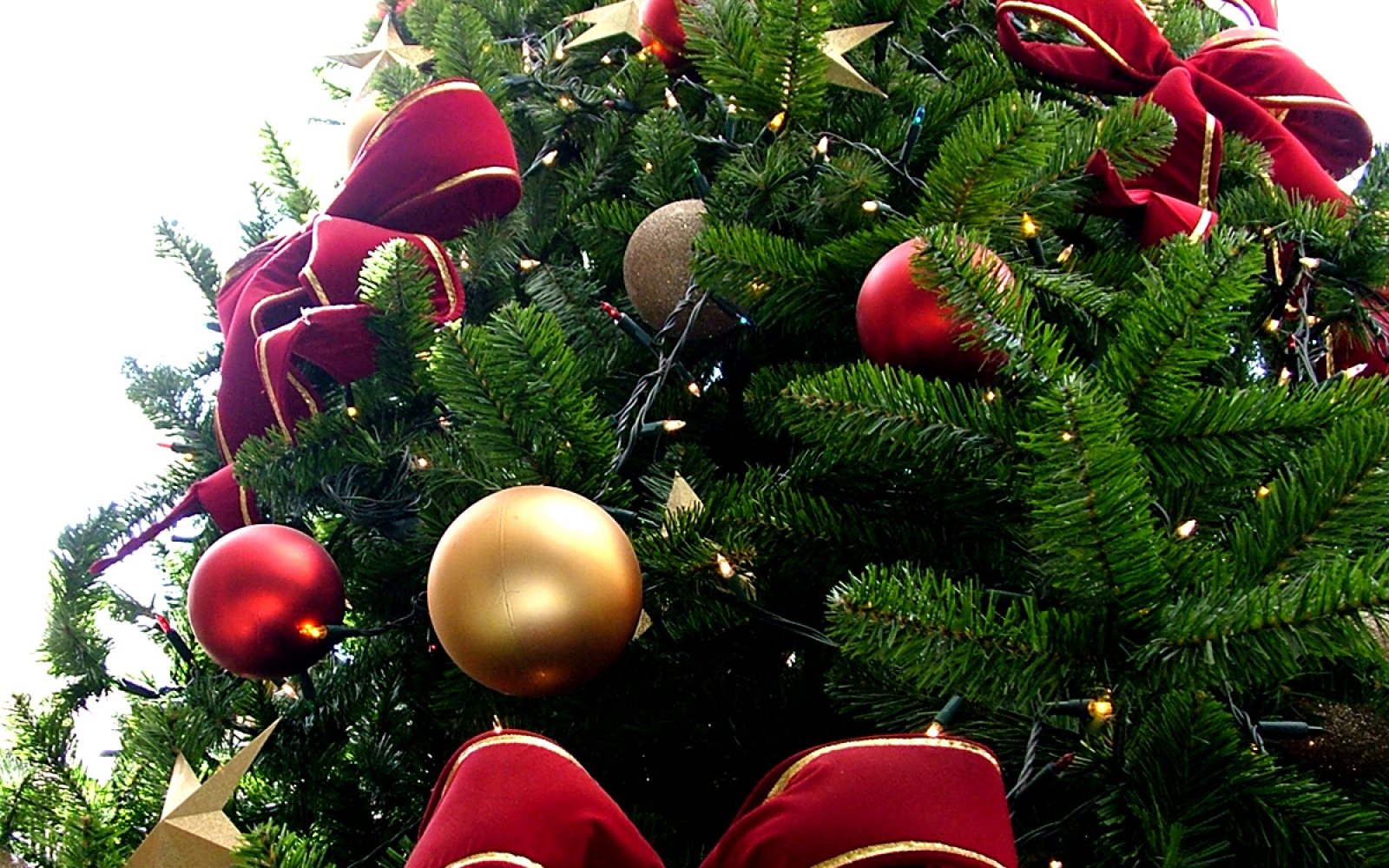 Small decorated Christmas tree