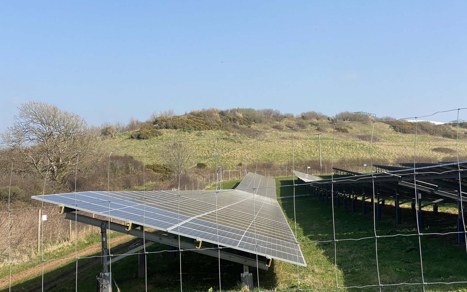 Rows of solar panels in a field