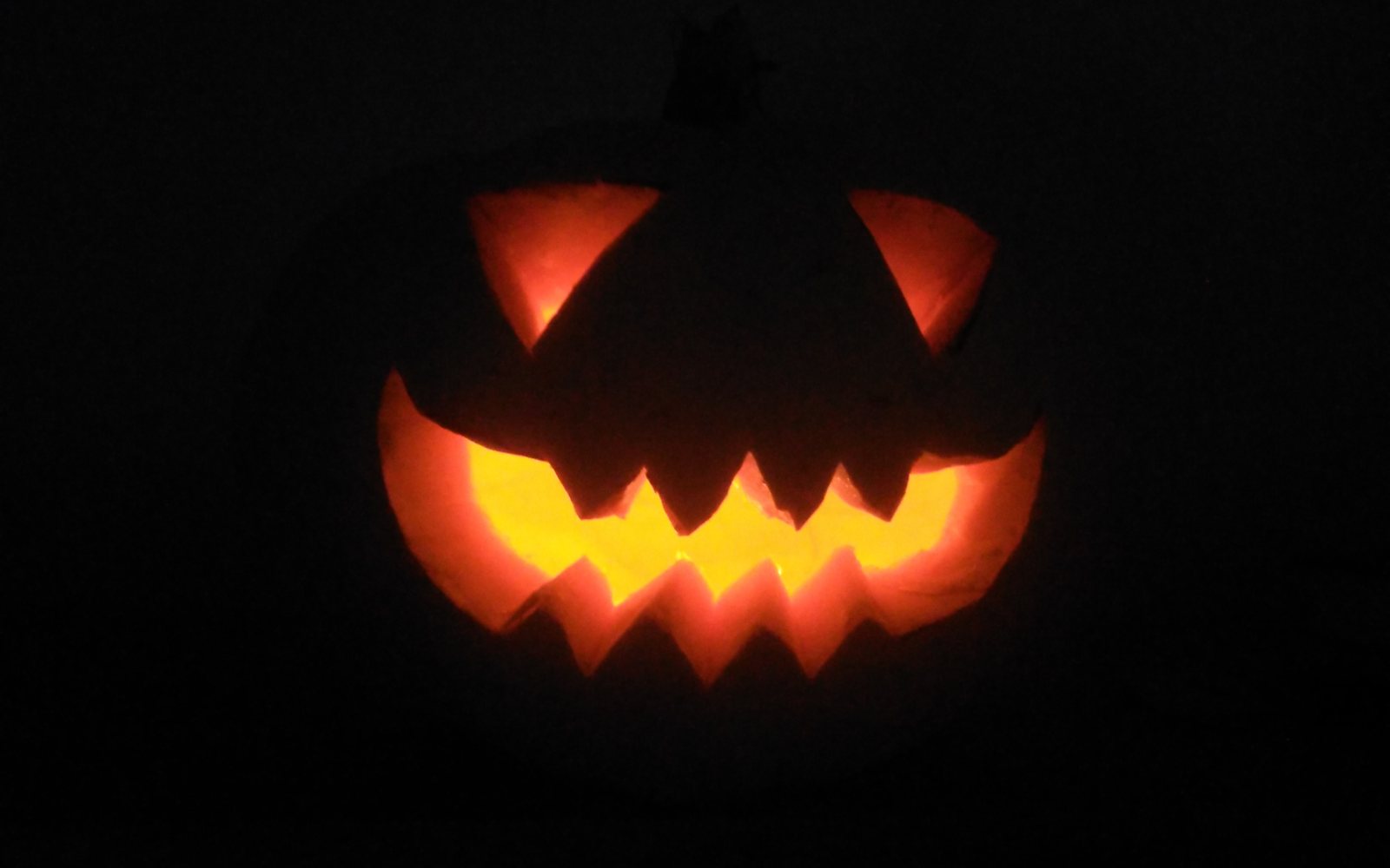 Rows of glowing carved pumpkins at night