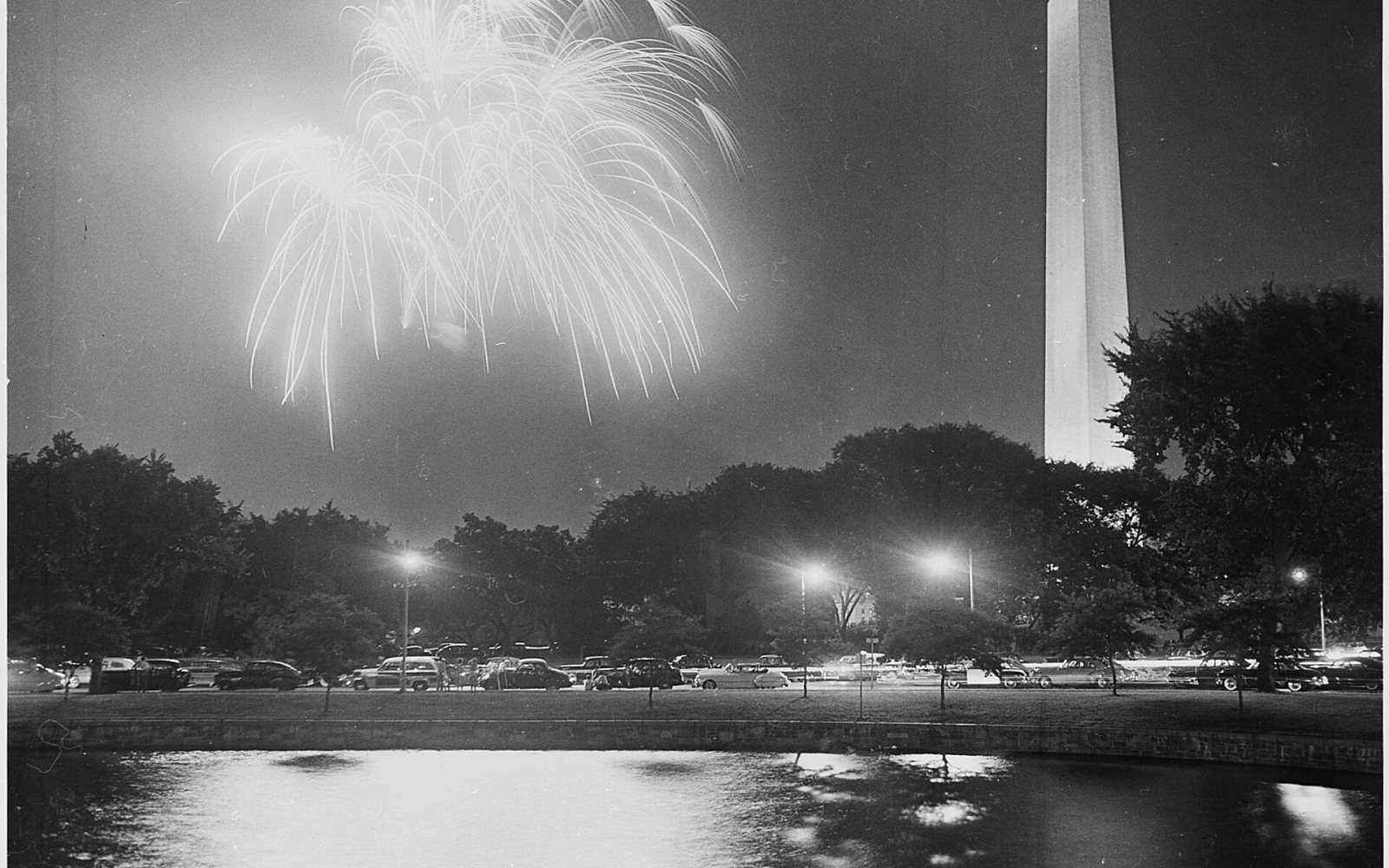 Fireworks over a night sky