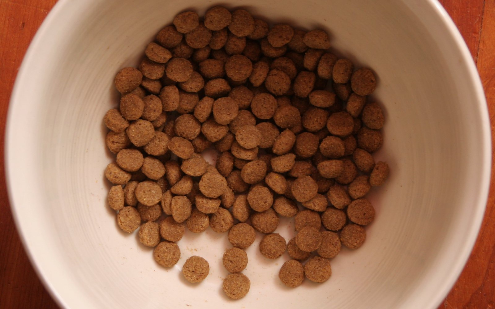 Dog eating from a food bowl