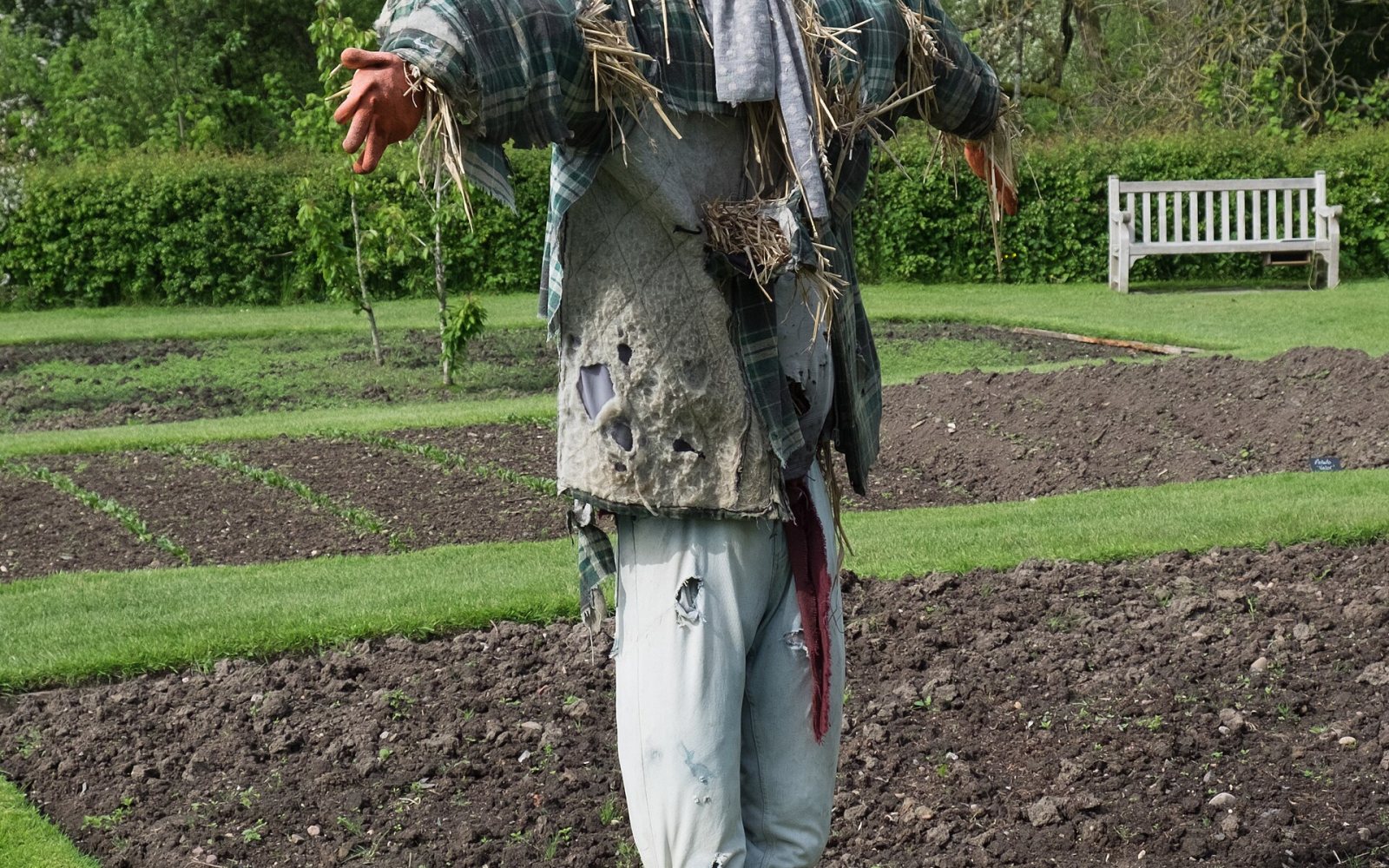 A scarecrow in an autumn display